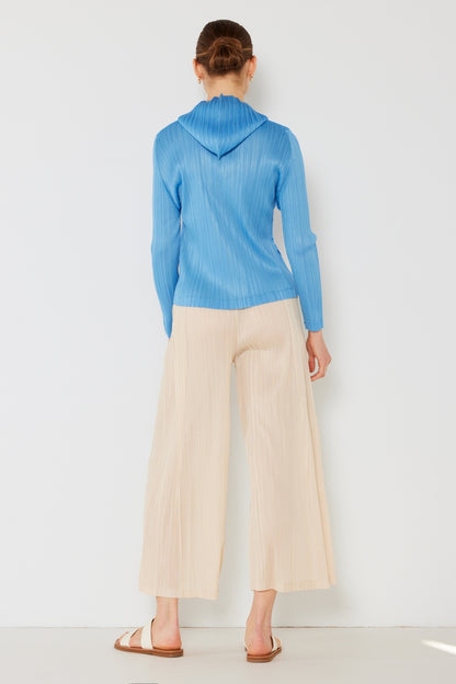 Pleated Wide-Leg Pants with Side Pleat Detail