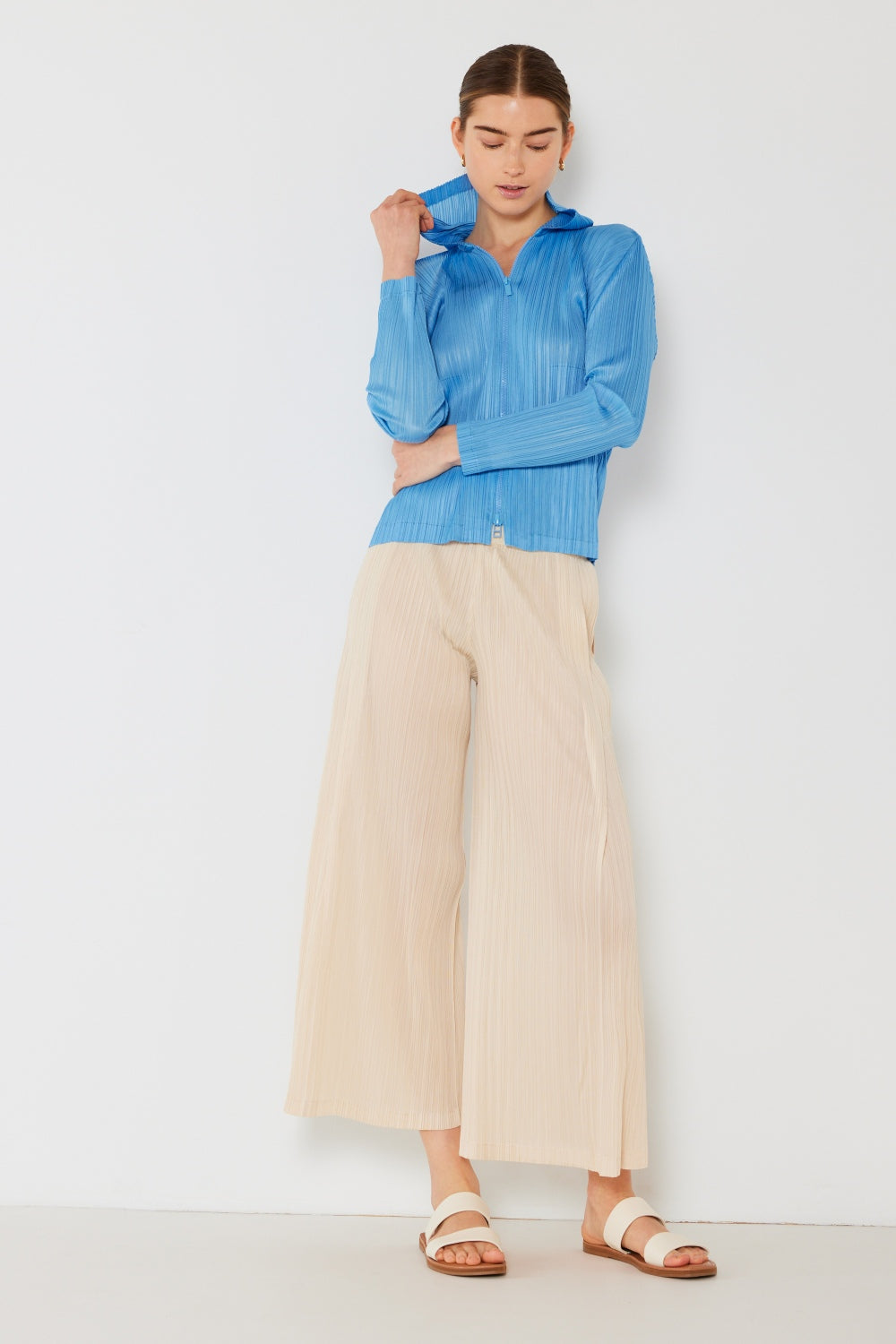 Pleated Wide-Leg Pants with Side Pleat Detail